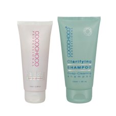 COCOCHOCO Basic Hair Botox Small Bundle