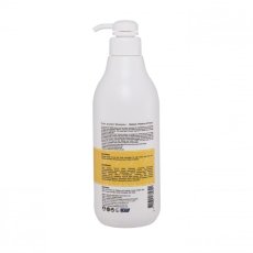 Šampon pro barvené vlasy Expert line COCOCHOCO 1000 ml